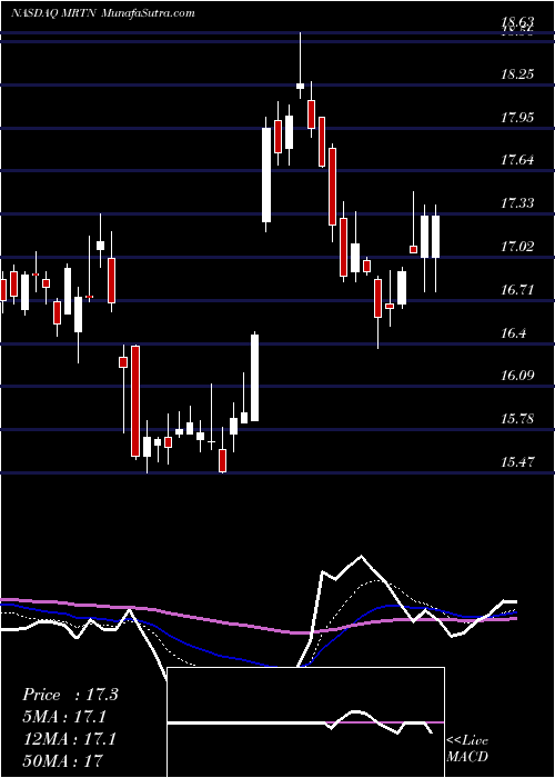  Daily chart MartenTransport