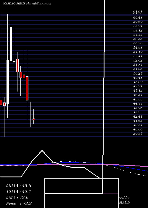  monthly chart MerusN