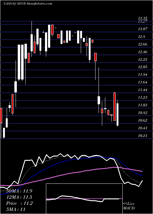  Daily chart MidSouthern
