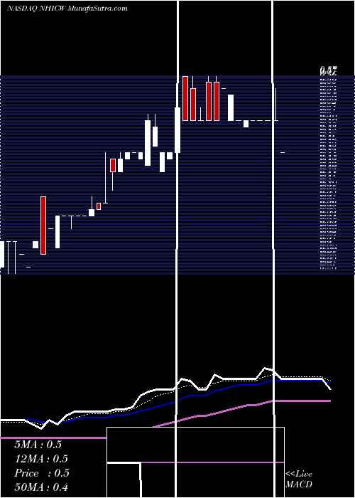  Daily chart NewholdInvestment