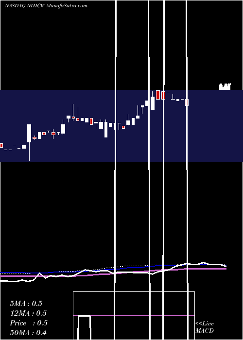  weekly chart NewholdInvestment