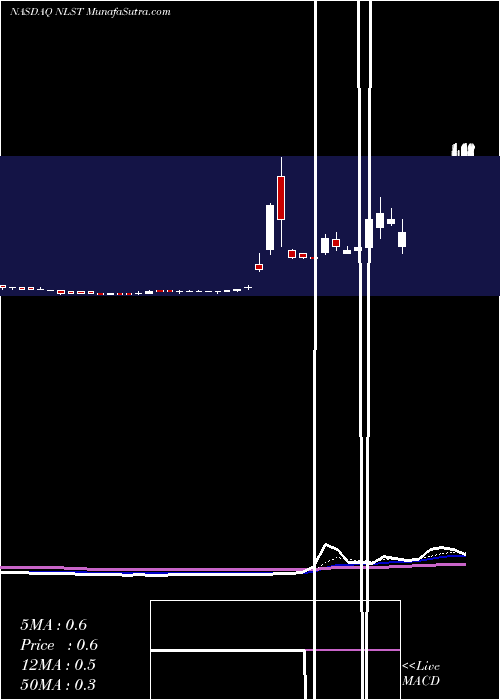  Daily chart NetlistInc