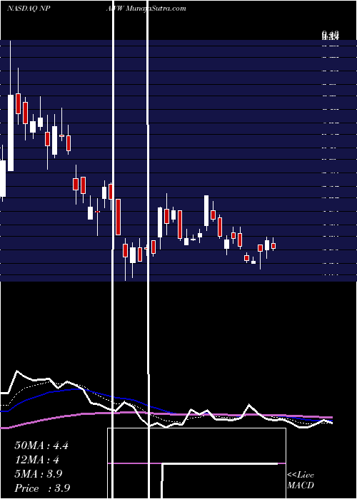  Daily chart NewProvidence