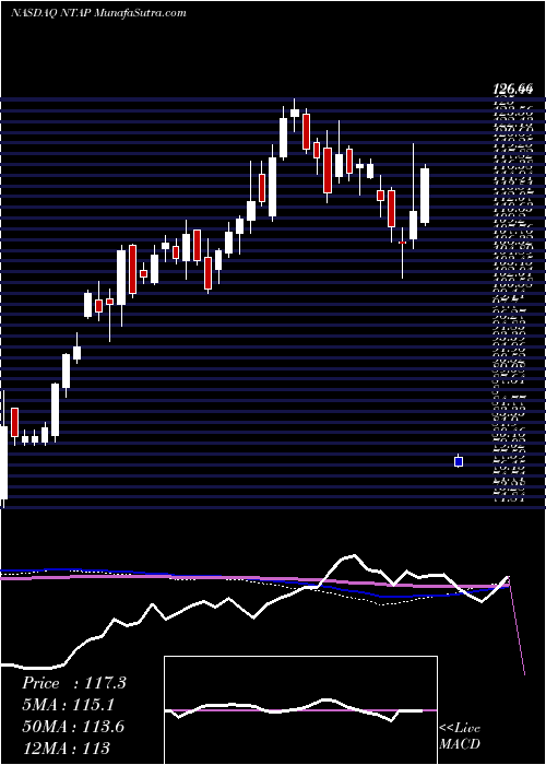  weekly chart NetappInc