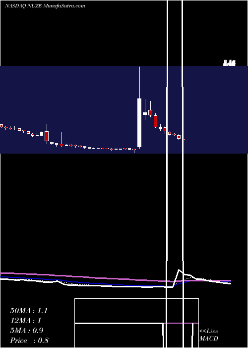  Daily chart NuzeeInc