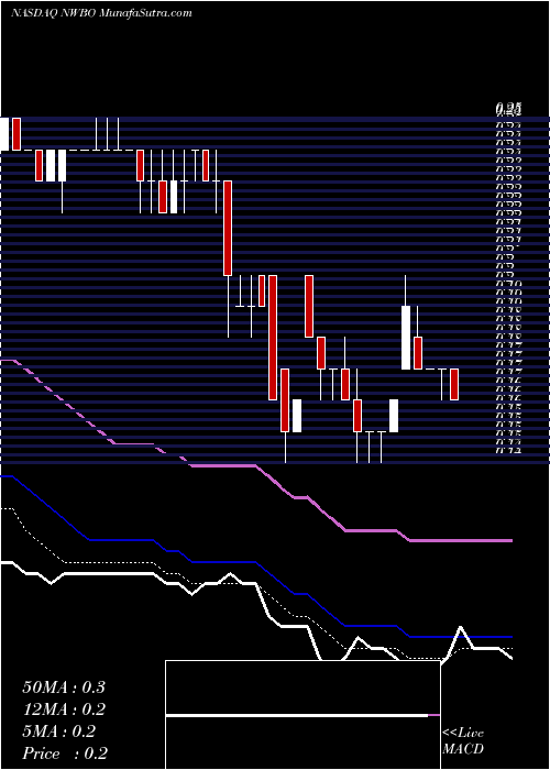  Daily chart NorthwestBiotherapeutics