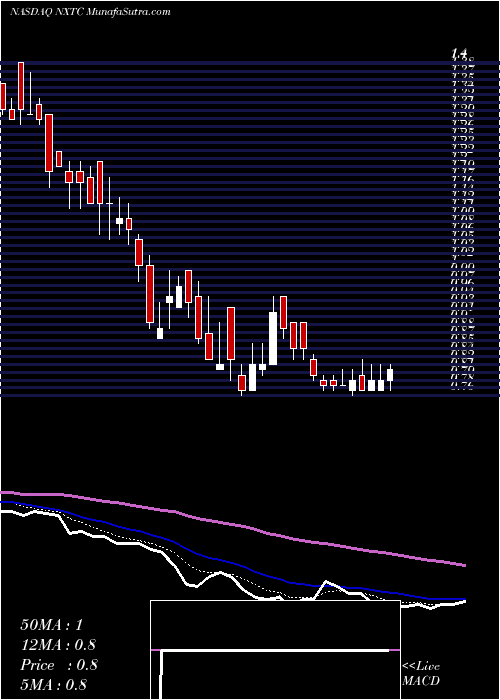  Daily chart NextcureInc