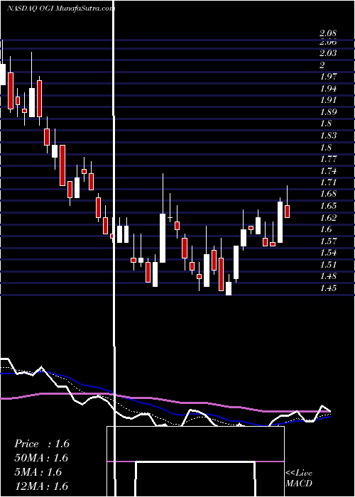  Daily chart OrganigramHlds