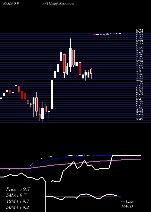  weekly chart PayaHoldings