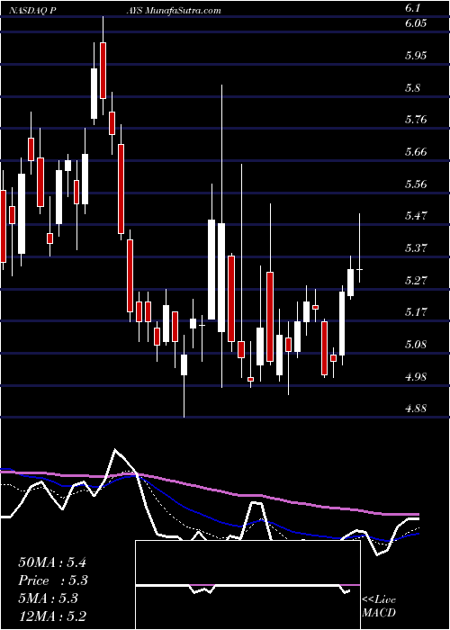  Daily chart PaysignInc