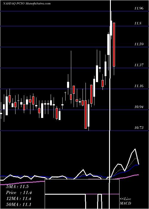  Daily chart Pure Cycle Corporation