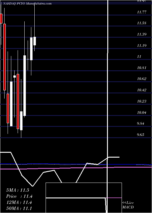  monthly chart PureCycle