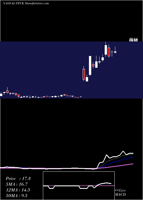  Daily chart PeckCompany