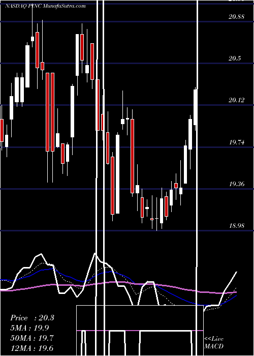  Daily chart PremierInc