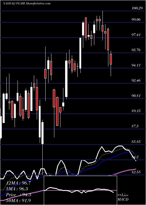  Daily chart PalomarHoldings