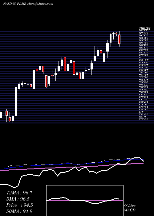  weekly chart PalomarHoldings