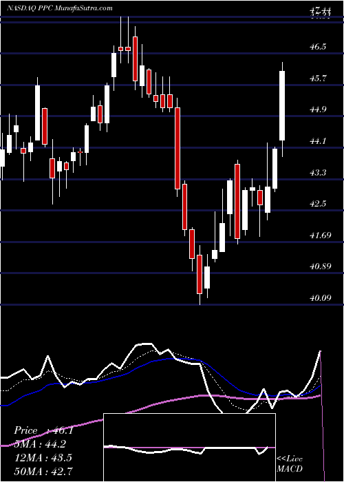  Daily chart Pilgrim's Pride Corporation