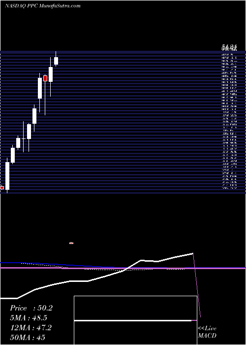  monthly chart PilgrimS