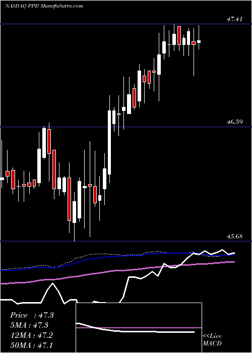  weekly chart PpdInc