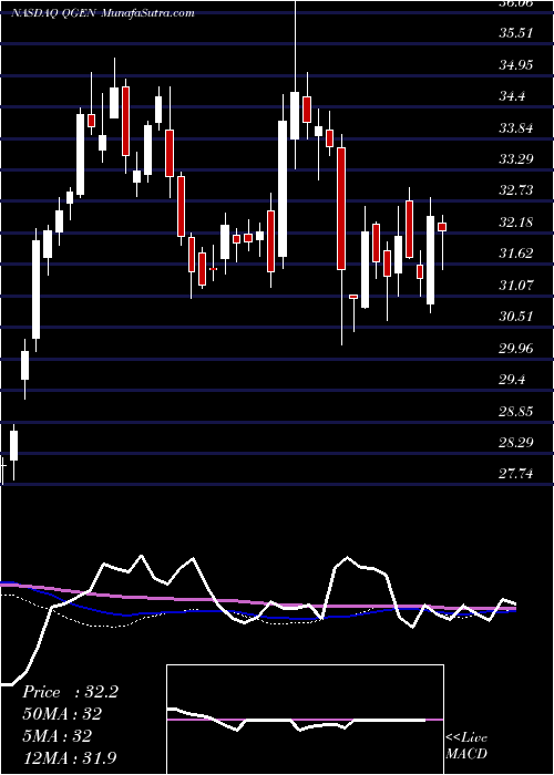  weekly chart QiagenN