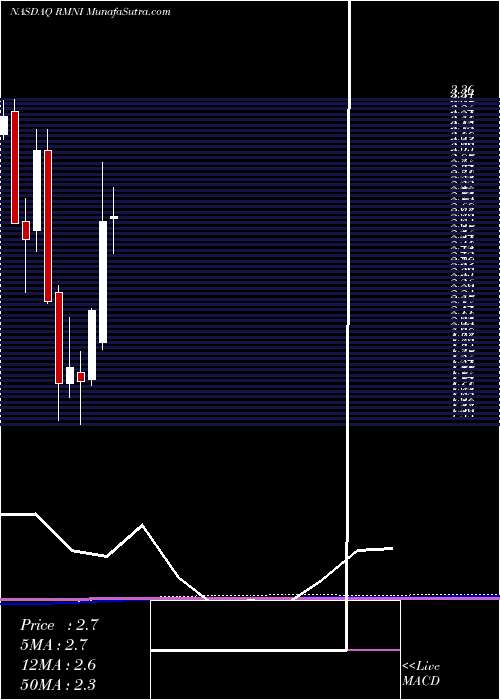  monthly chart RiminiStreet