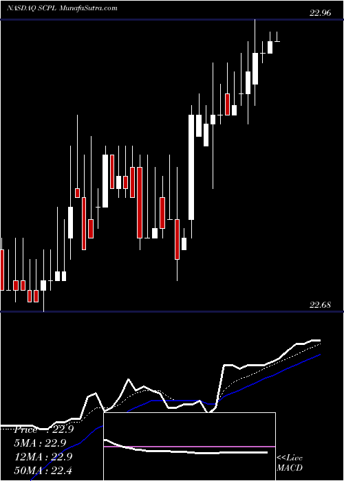  Daily chart SciplayCorp