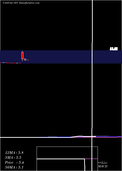  monthly chart SevconInc