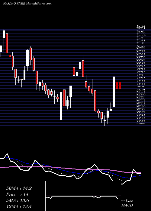  Daily chart SleepNumber