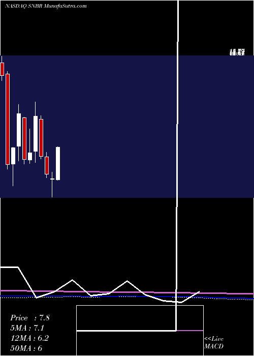  monthly chart SleepNumber