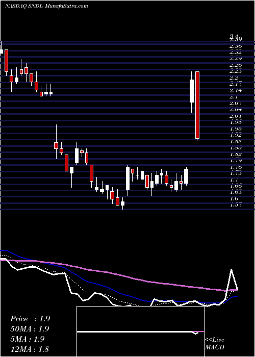  Daily chart SundialGrowers