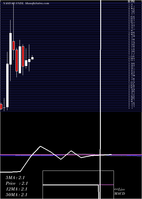  monthly chart SundialGrowers