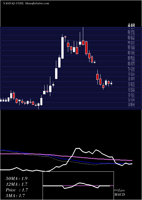  weekly chart SundialGrowers