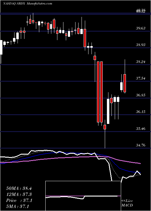  Daily chart SurmodicsInc