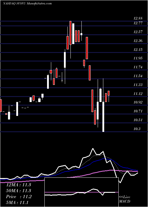  Daily chart SpringValley