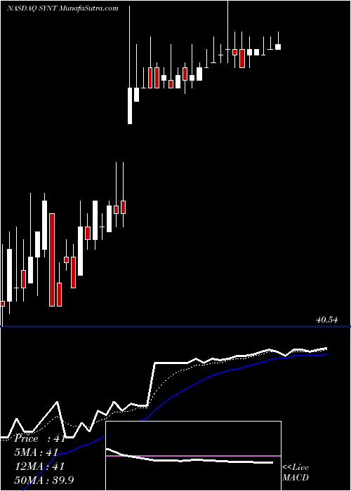  Daily chart SyntelInc