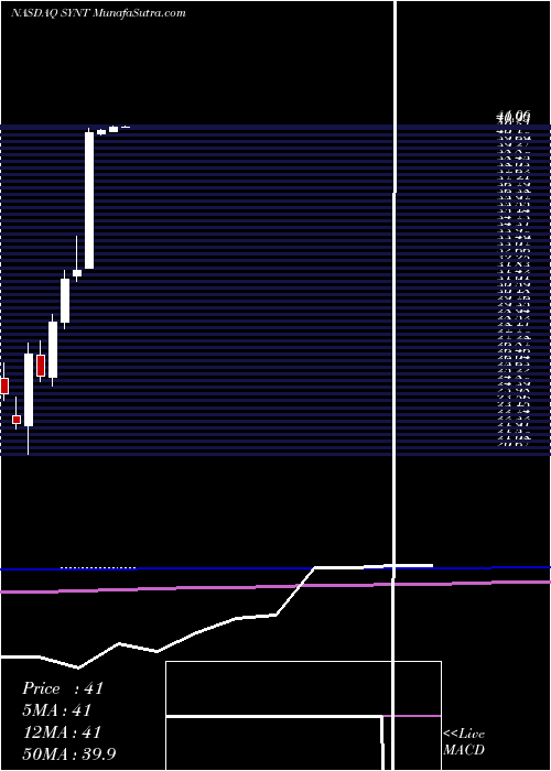  monthly chart SyntelInc