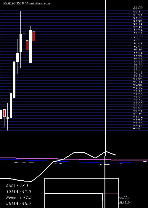  monthly chart TaylorDevices
