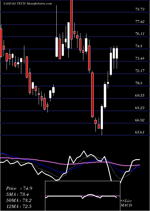  Daily chart BioTechne