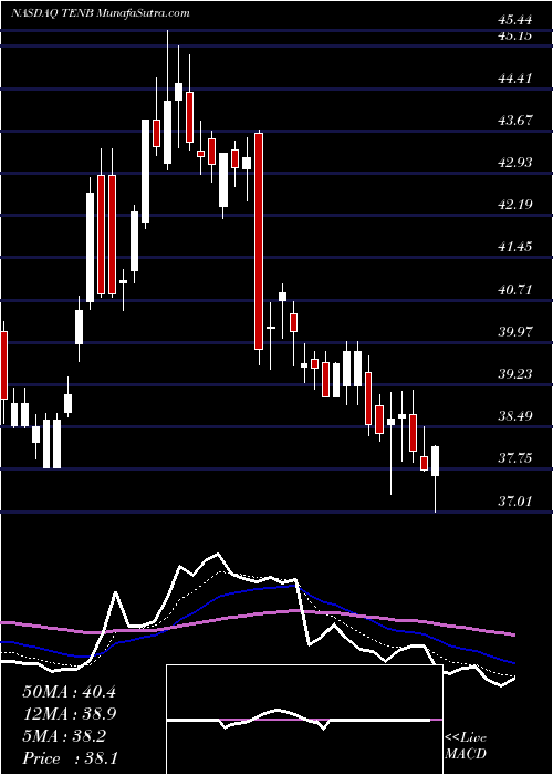  Daily chart TenableHoldings