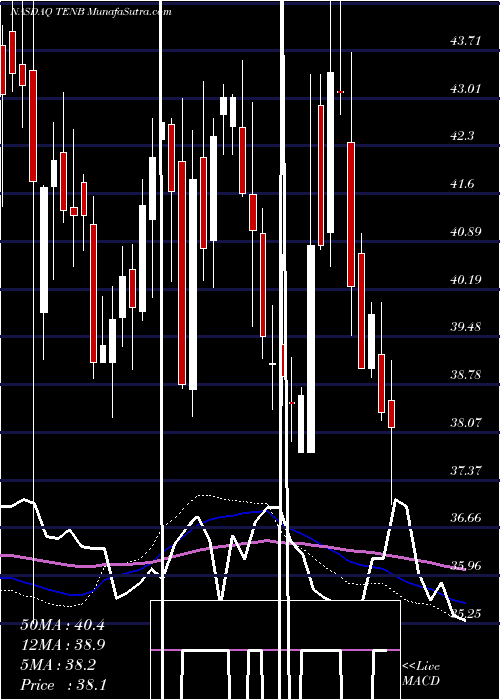  weekly chart TenableHoldings