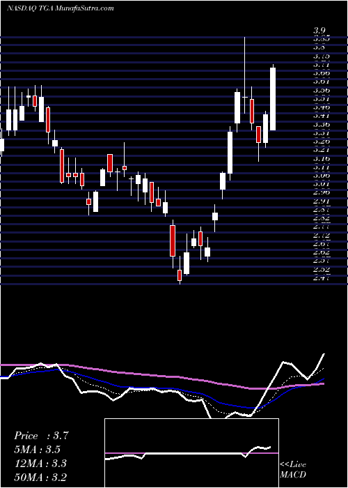  Daily chart TransglobeEnergy