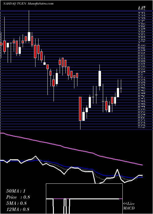  Daily chart TecogenInc