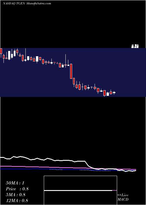  weekly chart TecogenInc
