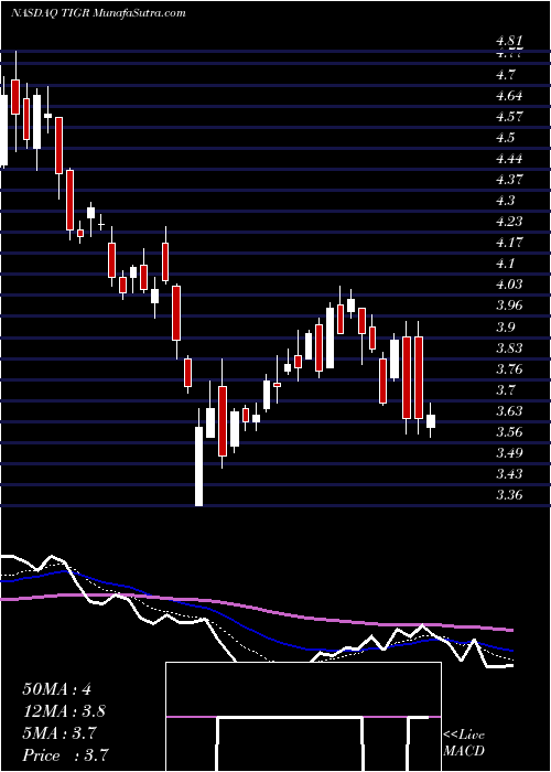  Daily chart TigerLogic Corporation