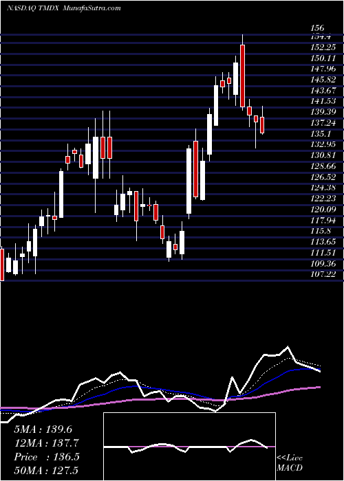  Daily chart Transmedics Group Inc