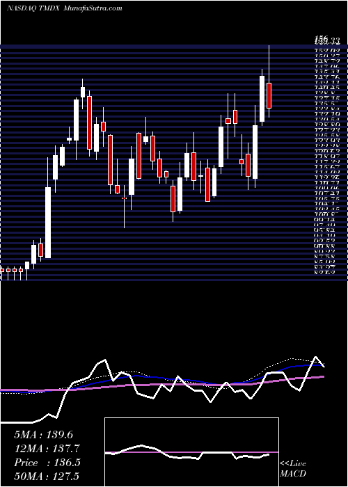  weekly chart TransmedicsGroup