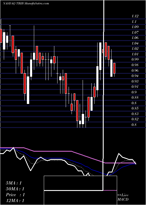  Daily chart Trinity Biotech Plc
