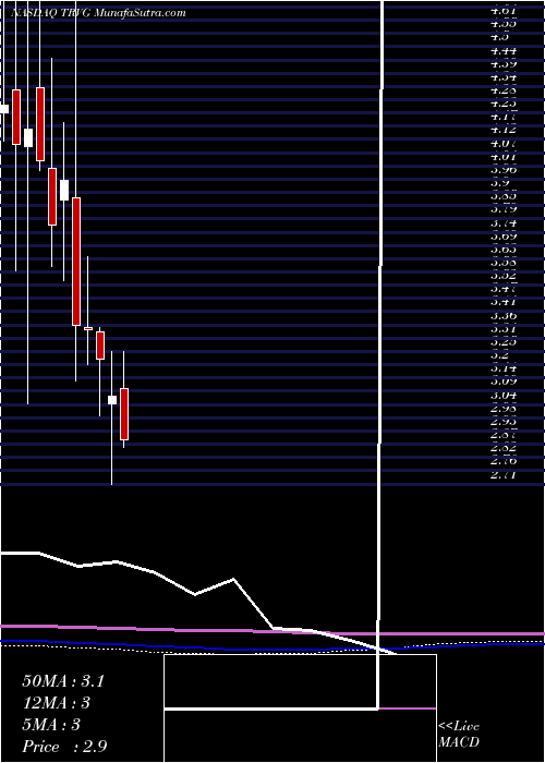 monthly chart TrivagoN