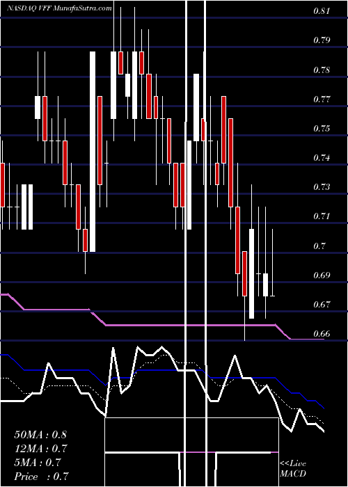  Daily chart VillageFarms