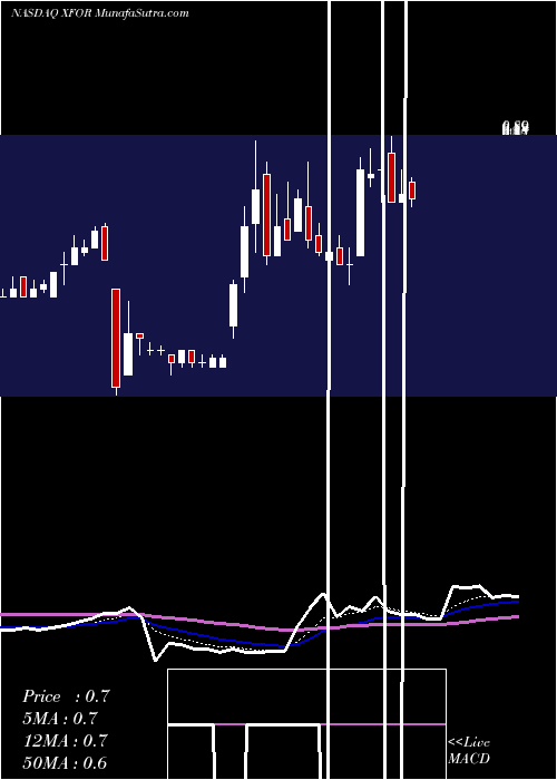  Daily chart X4Pharmaceuticals